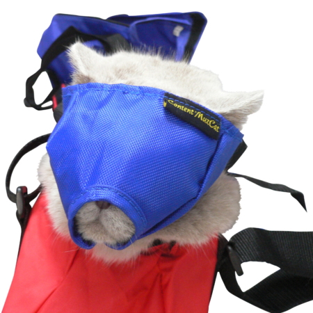Bozal Nylon Gatos