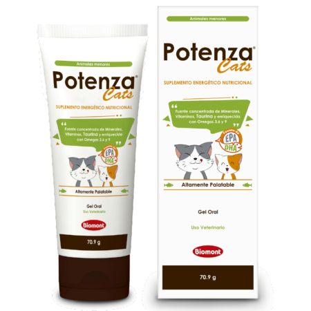 Potenza Cats