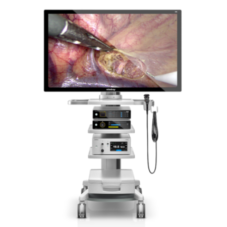 Torre de Endoscopia Vetina CS3