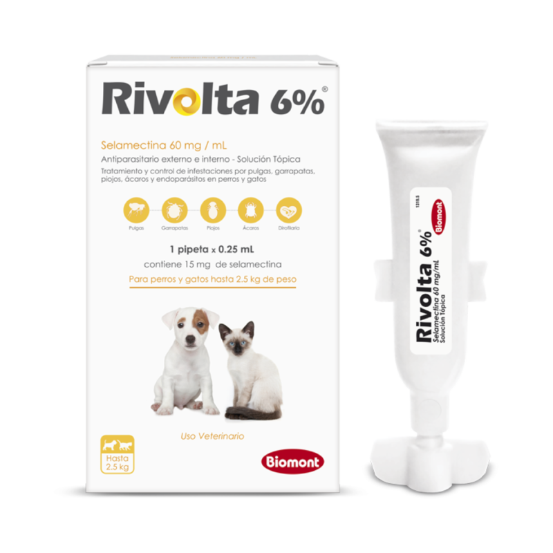 Rivolta 6%