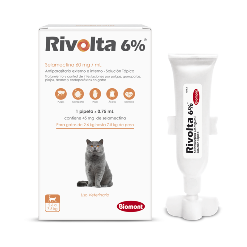Rivolta 6%
