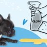 ¿Debo usar cloro para limpiar la orina de mi mascota?