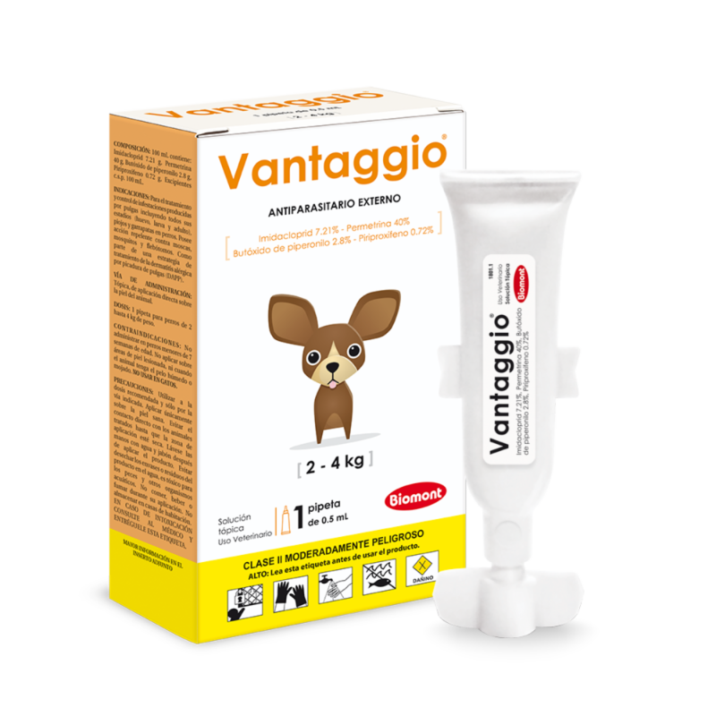 Vantaggio Naranja